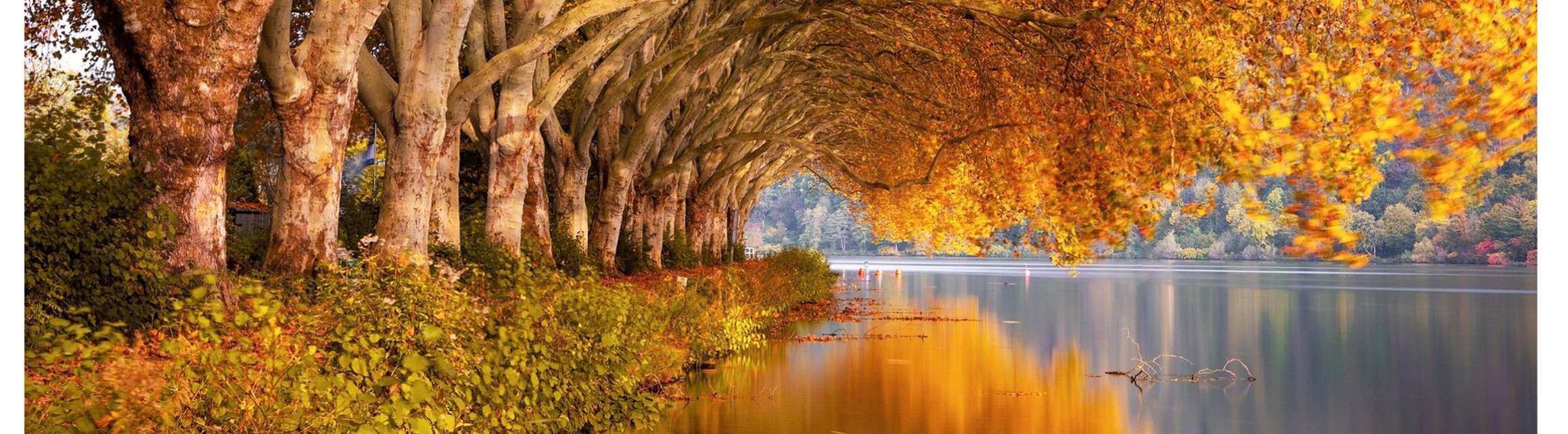 bunter Herbst am See